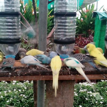 T Garden Villa Pantai Cenang  Exterior photo